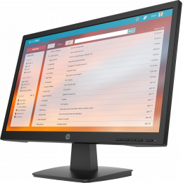 HP Monitor P22v G4 21