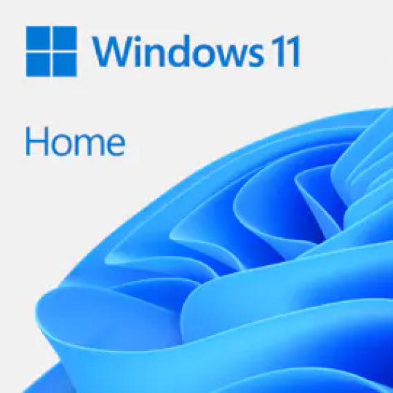 WIN HOME 11 64-bit All Lng PK Lic Online DwnLd NR