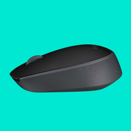 Мышь беспроводная Logitech B170 Black (черная