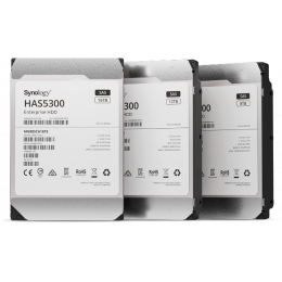 Накопитель на жестком магнитном диске Synology HDD HAS5300-12T  