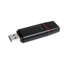 USB-накопитель Kingston DTX/256GB 256GB Чёрный