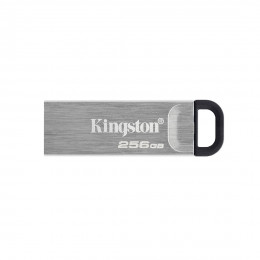 USB-накопитель Kingston DTKN/256GB 256GB Серебристый