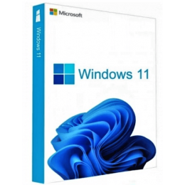 Win 11 Pro 64Bit Russian 1pk DSP OEI Kazakhstan Only DVD