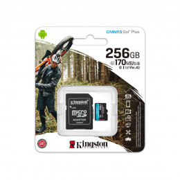 Карта памяти Kingston SDCG3/256GB A2 U3 V30 256GB + адаптер