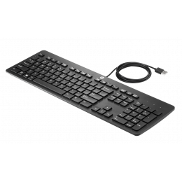 HP (Bulk) USB Business Slim Keyboard  KAZ