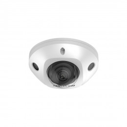 IP видеокамера Hikvision DS-2CD2543G2-IS (2