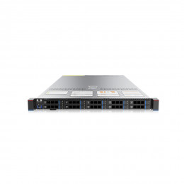 Серверная платформа Gooxi SL101-D10R-NV-G4