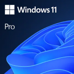 Win Pro 11 64-bit All Lng PK Lic Online DwnLd NR